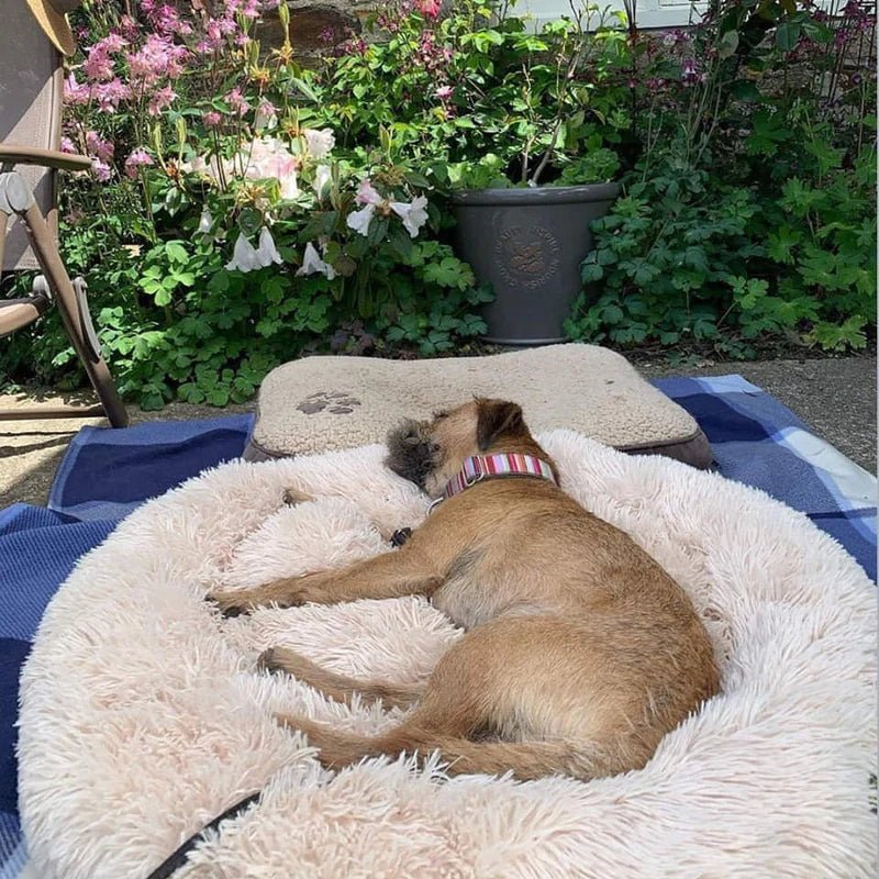 Cama redonda de felpa para perros