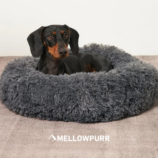 Cama redonda de felpa para perros